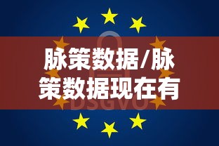 脉策数据/脉策数据现在有多少员工