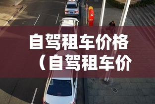 自驾租车价格（自驾租车价格一天多少钱）