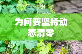 为何要坚持动态清零 为何要坚持动态清零
