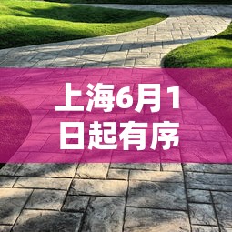 上海6月1日起有序恢复住宅小区出入/上海小区防疫措施