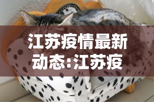 江苏疫情最新动态:江苏疫情最新动态实时