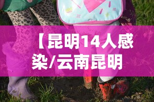 【昆明14人感染/云南昆明感染人数】