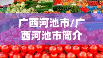广西河池市/广西河池市简介