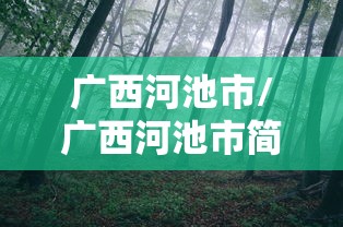 广西河池市/广西河池市简介