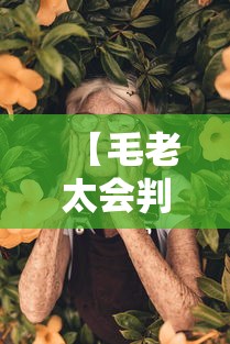 【毛老太会判多久/扬州毛老太会判多久】