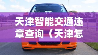 天津智能交通违章查询（天津怎么查交通违章查询）