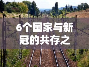6个国家与新冠的共存之路/国外与新冠共存 6个国家与新冠的共存之路/国外与新冠共存