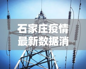 石家庄疫情最新数据消息/石家庄疫情最新情况轨迹