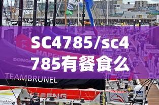 SC4785/sc4785有餐食么