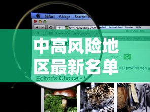 中高风险地区最新名单实时查询/中高风险地区查询 最新