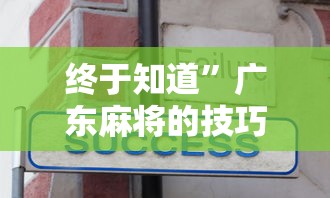 终于知道”广东麻将的技巧和诀窍”有挂详细开挂教程
