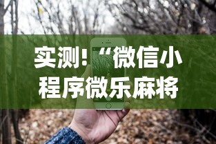 实测!“微信小程序微乐麻将可以开挂吗”(必备工具)辅助教学