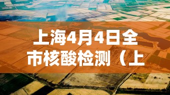 上海4月4日全市核酸检测（上海4月3日）