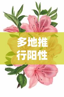 多地推行阳性居家、十字花隔离/十字隔离骨架