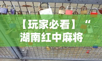 【玩家必看】“湖南红中麻将打法技巧”揭秘透视辅助万能挂