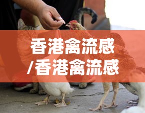香港禽流感/香港禽流感是哪一年