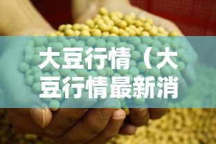 大豆行情（大豆行情最新消息今天）