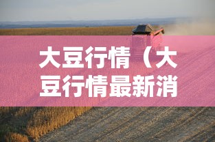大豆行情（大豆行情最新消息今天）