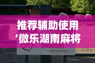 推荐辅助使用‘微乐湖南麻将怎么能赢”(透视)辅助透视教程