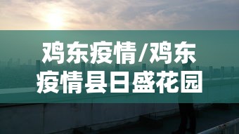 鸡东疫情/鸡东疫情县日盛花园儿志愿者