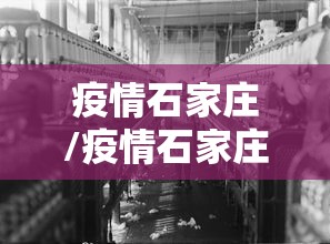疫情石家庄/疫情石家庄最严重的地方