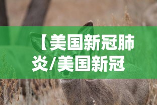 【美国新冠肺炎/美国新冠肺炎超2920万例】