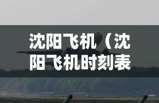 沈阳飞机（沈阳飞机时刻表查询）