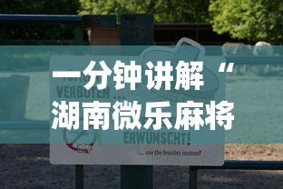 一分钟讲解“湖南微乐麻将有开挂的吗”(透视)辅助透视教程