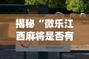 揭秘“微乐江西麻将是否有挂”(透视)辅助透视教程