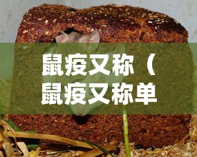 鼠疫又称（鼠疫又称单选 ）