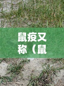 鼠疫又称（鼠疫又称单选 ）
