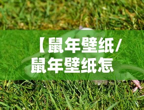 【鼠年壁纸/鼠年壁纸怎么设置】