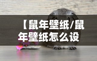 【鼠年壁纸/鼠年壁纸怎么设置】