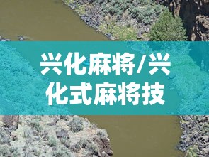 兴化麻将/兴化式麻将技巧