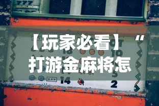 【玩家必看】“打游金麻将怎么打才会赢的机会多(透视)”开挂(透视)辅助教程