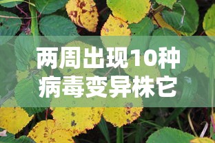 两周出现10种病毒变异株它们从哪来/病毒变异株什么意思
