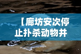 【廊坊安次停止扑杀动物并道歉,廊坊安次规划最新消息】