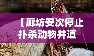 【廊坊安次停止扑杀动物并道歉,廊坊安次规划最新消息】