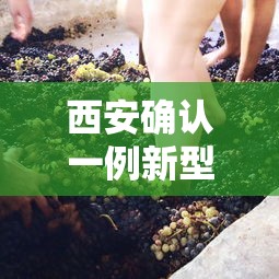 西安确认一例新型冠状病毒/西安确诊一例冠状肺炎