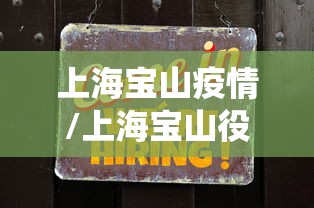 上海宝山疫情/上海宝山役情