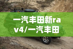 一汽丰田新rav4/一汽丰田新款