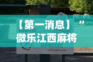 【第一消息】“微乐江西麻将怎么赢”(透视挂)辅助透视教程