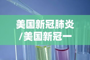 美国新冠肺炎/美国新冠一情