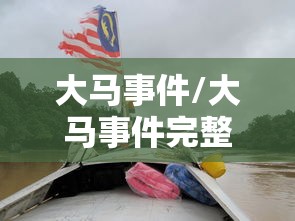 大马事件/大马事件完整版