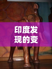 印度发现的变异毒株传入非洲/印度变异毒株传播
