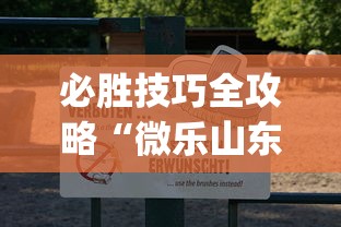 必胜技巧全攻略“微乐山东麻将开挂免费下载安装”(曝光透视必备猫腻)