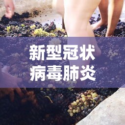 新型冠状病毒肺炎最新情况:新型冠状病毒疫情最新情况