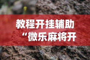 教程开挂辅助“微乐麻将开挂app下载苹果手机版”-详细教程