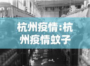杭州疫情:杭州疫情蚊子最新消息