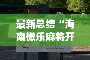 最新总结“海南微乐麻将开挂”(详细透视教程)